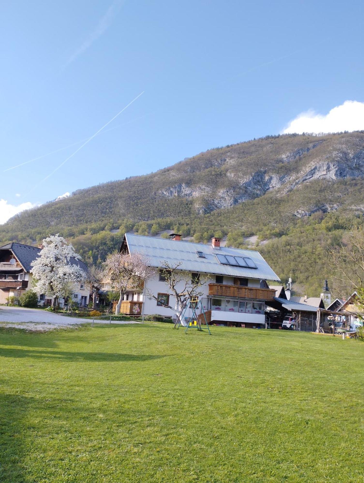 Apartmaji Verica Ceklin Bohinj Exteriör bild